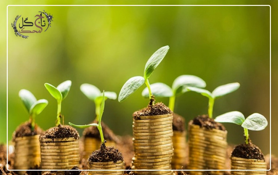 آثار خیرات و صدقه برای درگذشتگان